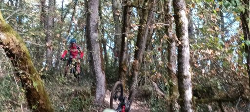 Belle chute de David....sans gravitée