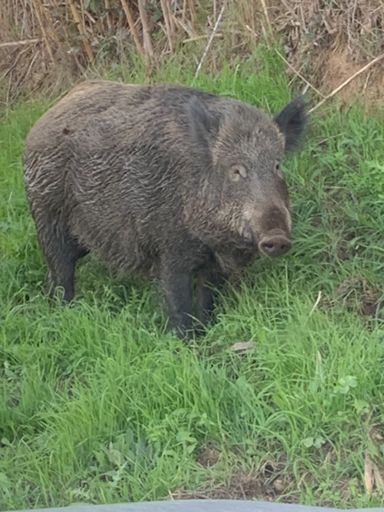 Rencontre inattendue