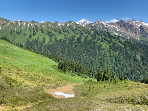 Glacier peeking (see what I did there?!)