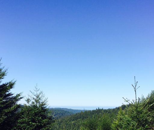 Bright blue ocean today