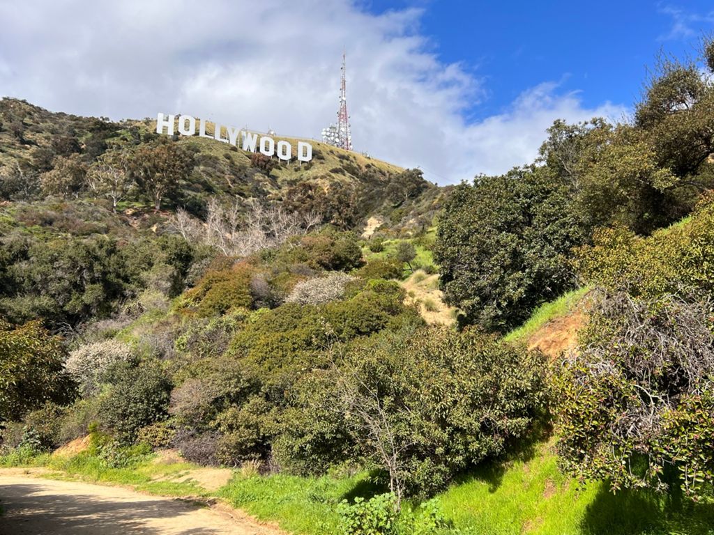 NBB run - Lake Hollywood photo 29