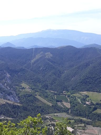 Le ventoux depuis la Garde Grosse