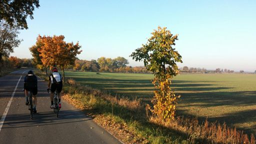 Durchs Morgengold ins Getümmel.