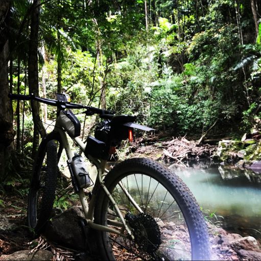 35 degrees, half way swim.