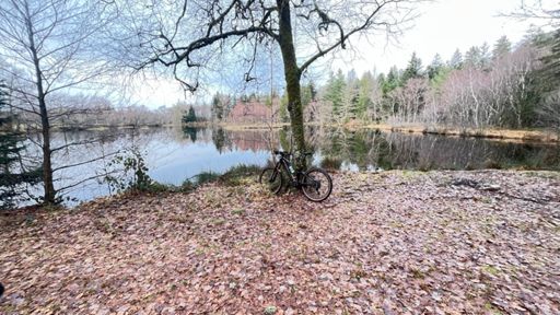 Toujours aussi beau cette étang