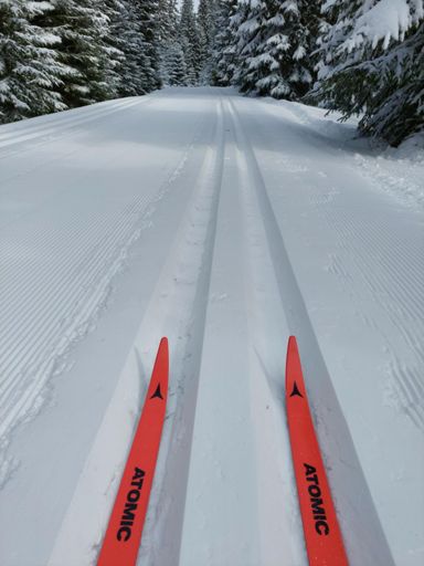 Když tě předjede rolba a ty jsi úplně první ve stopě...