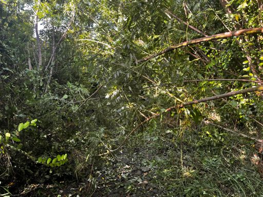 Chemin de Val d’or