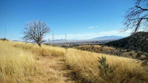 From up here you all look like tiny little ants.