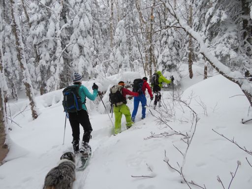 Breaking out the Twinway