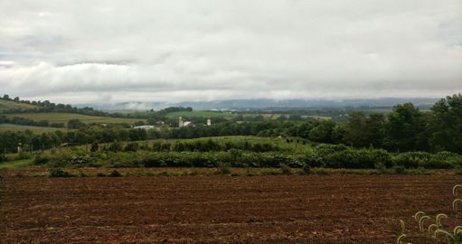 The Breadbasket of Frederick
