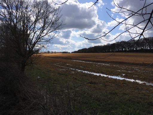 The one time the sun (sort of) came out