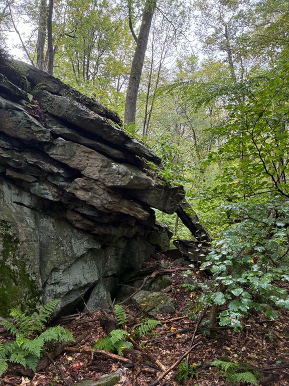 6 mile out and back on Laurel Highlands trail hike. Exquisite.