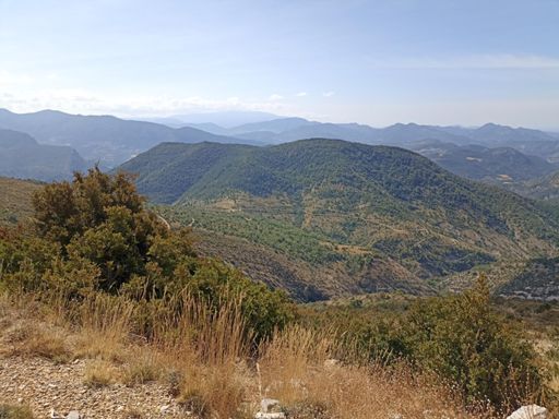 Mont Ventoux au fond