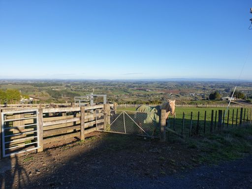 Maxted Road local checking I'm OK