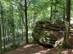 Balade VTT Badon à la chapelotte