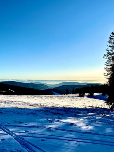 Perfekte Alpensicht👌🏼