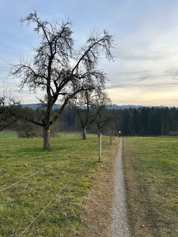 route-highlight