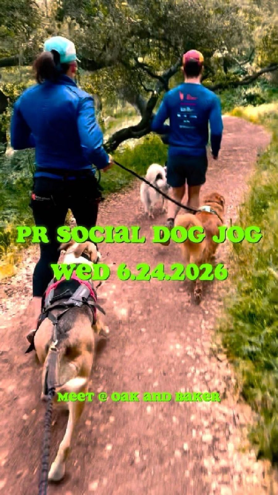 Hello! We are hosting our first dog jog at 6pm tonight meeting at Baker (btw fell and oak) starting at 6pm. Itโll be social pace with no paw left behind. Come on out and bring your floofs ๐พ