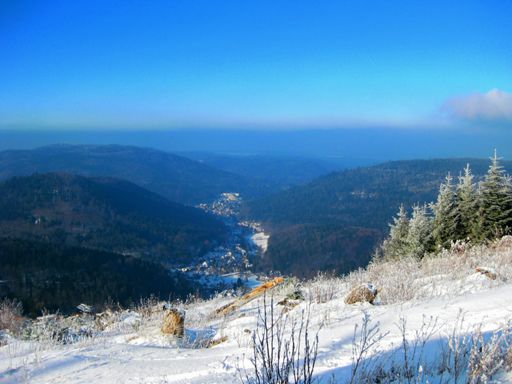 Blick nach Herrenalb