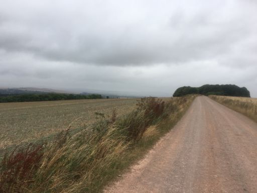 Riding into the rain