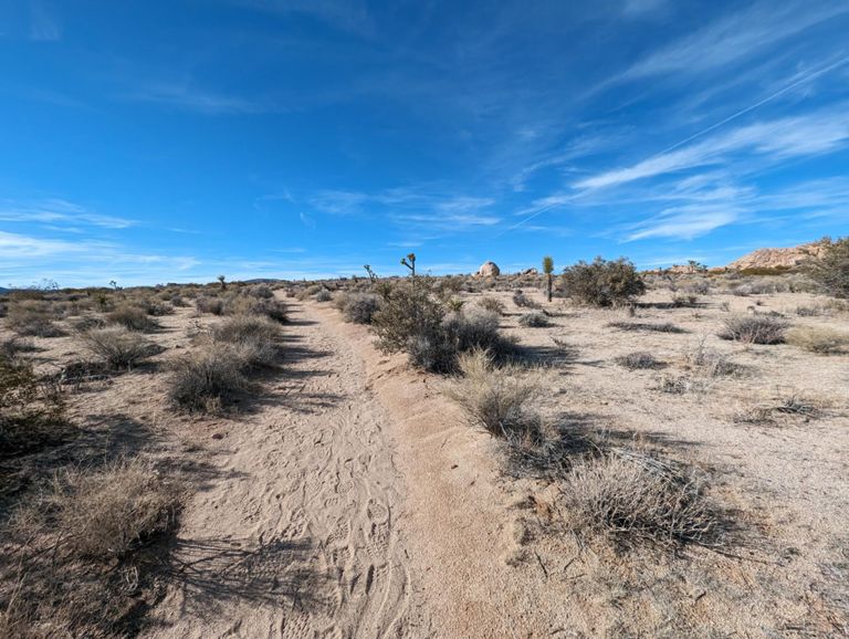 Joshua Tree Traverse - 4th unsupported male FKT