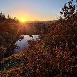 Grand roug’ matinal