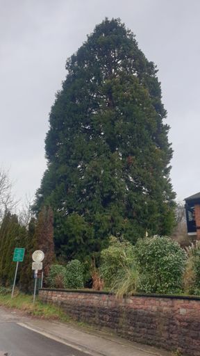 Hofheim am Taunus_ID23810_BM_Kassernstr. 17