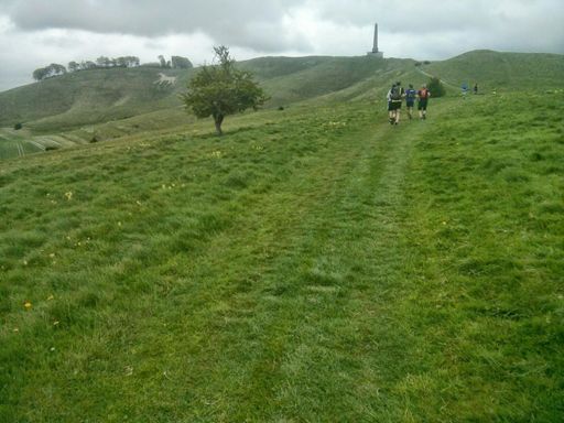 Chalk horse in the hill
