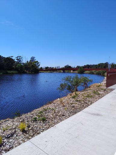 Looking back after the bridge