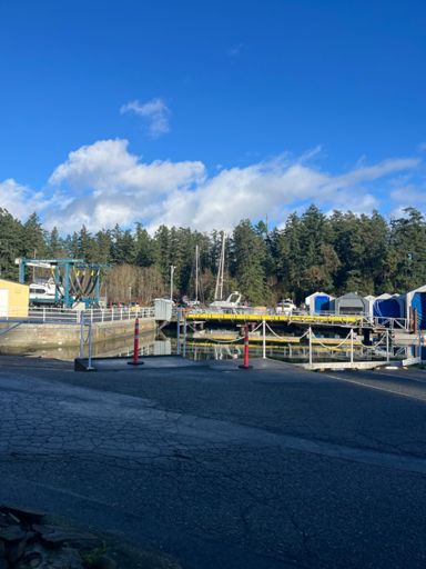 No Foxes or Monocles today but it was a rare photo op on a steady day. 