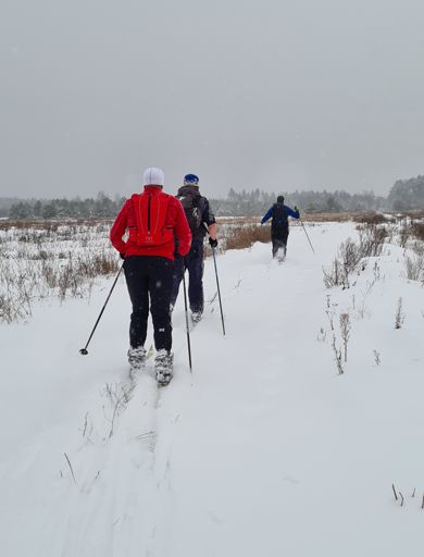 От Зворково на северо-восток.