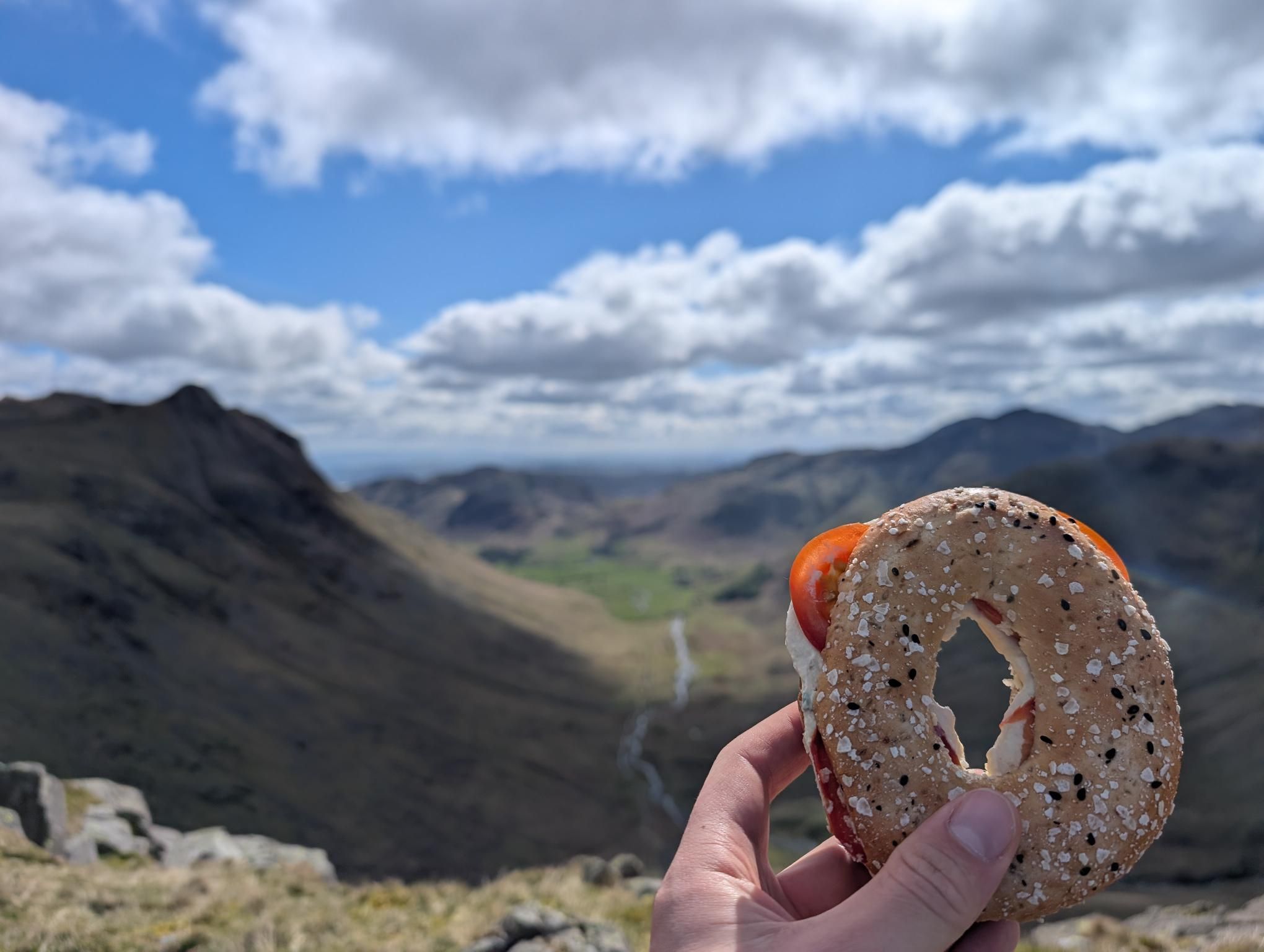 Bow Fell and Esk Pike photo 8