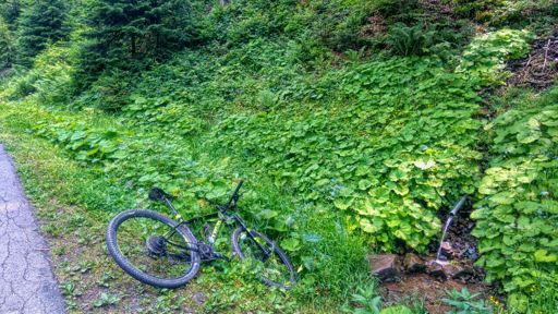 Woda to życie - źródełko w dolinie bobrów