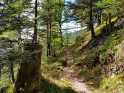 Retournemer au sentier des roches