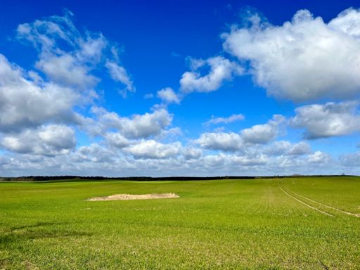 Brandenburg - Where the Windows XP wallpaper was shot