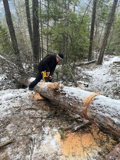 Cutting out the big one