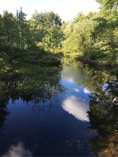 Horace Greeley Hwy., Amherst, NH