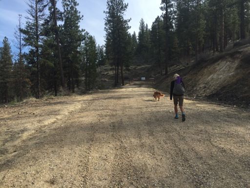 Gate just after we parked. OHV and motorcycle only on these old logging roads.