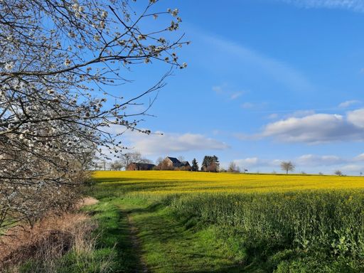 Bausenhagen ist schön.