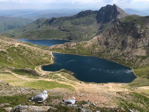 Mais oui, la mer n’est pas très loin !