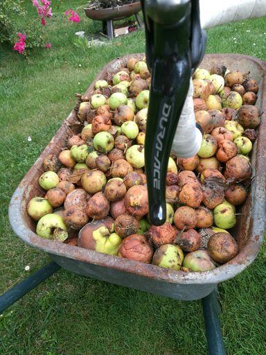 Gartenarbeit hat mich von mehr abgehalten....