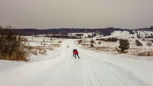 Дорога Никольское - Дубровицы.