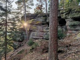 divagation à st Quirin