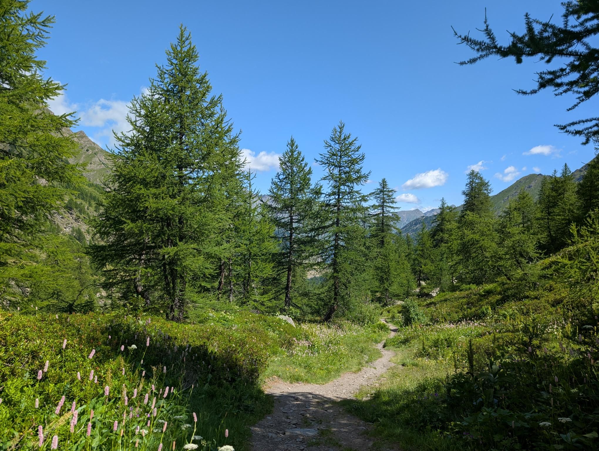 GR58 - Day 3 photo 5