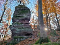 Dans les coins de Wuestenberg