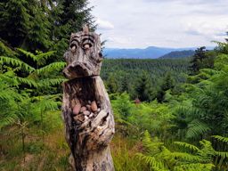 Entre Moussey et la Chatte pendue