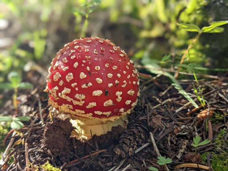 More course preview on CT