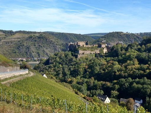 Burg Rheinfels