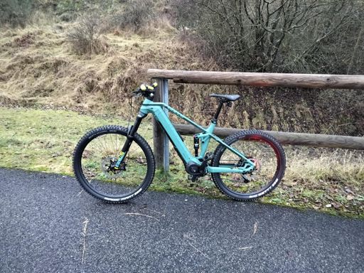 Bulls Sonic Evo AM 1