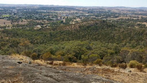 Its a long wat to the top when youre on an mtb roll.